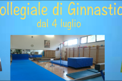 Collegiale-di-Ginnastica